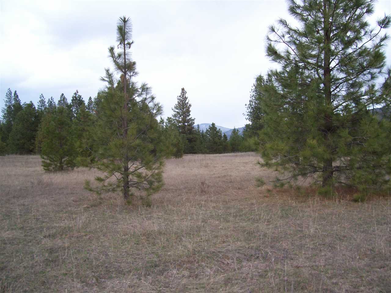 7 Maggie Flats Road Kettle Falls, WA 99141 - Photo 1 of 6 Gallery Image 1