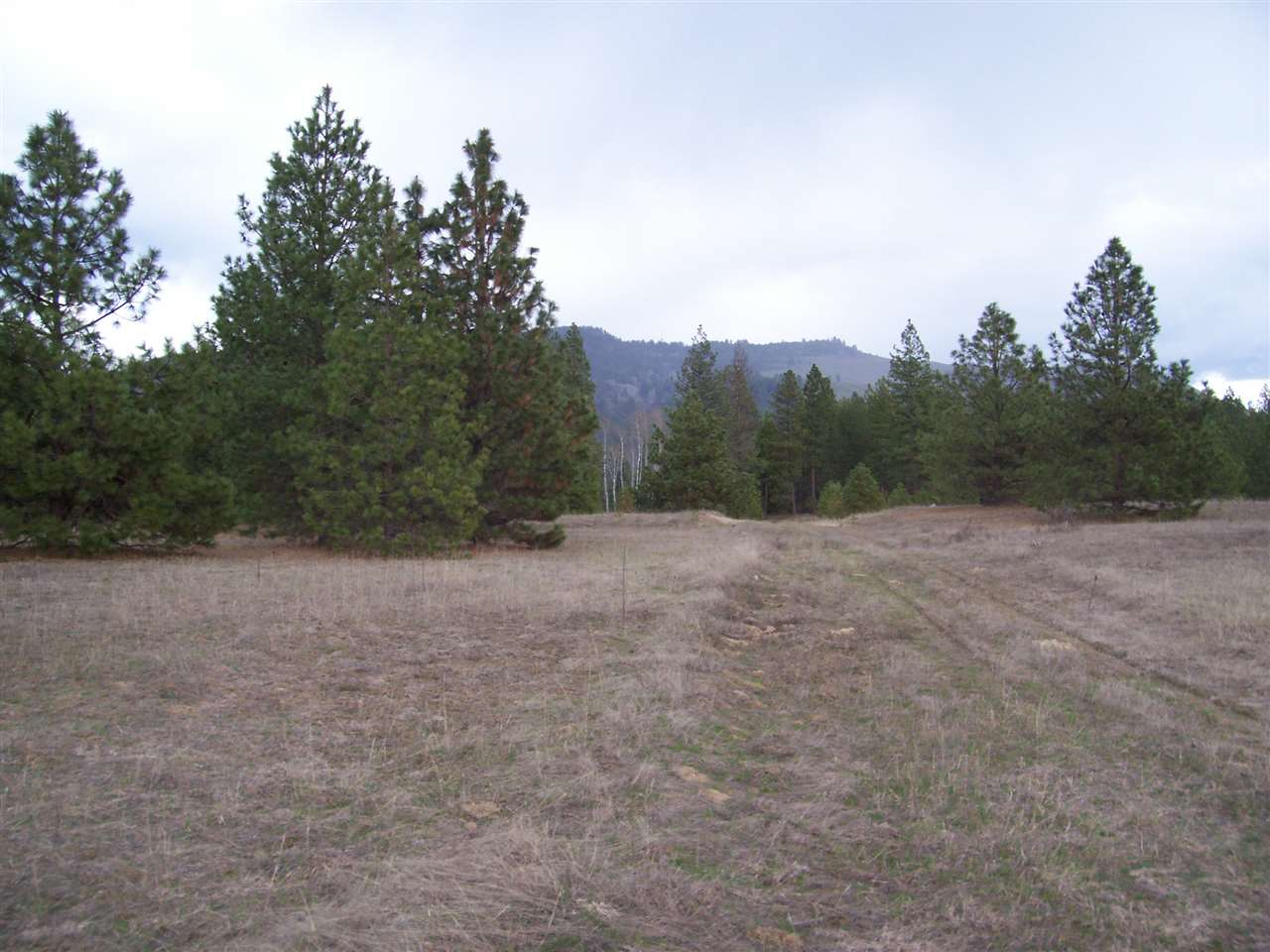 7 Maggie Flats Road Kettle Falls, WA 99141 - Photo 2 of 6 Gallery Image 2