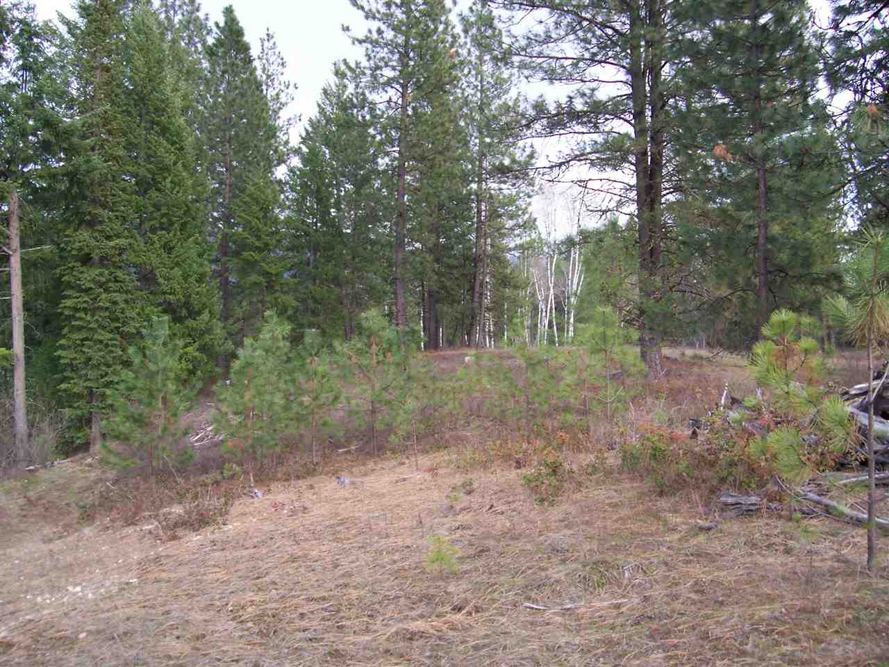 7 Maggie Flats Road Kettle Falls, WA 99141 - Photo 3 of 6 Gallery Image 3