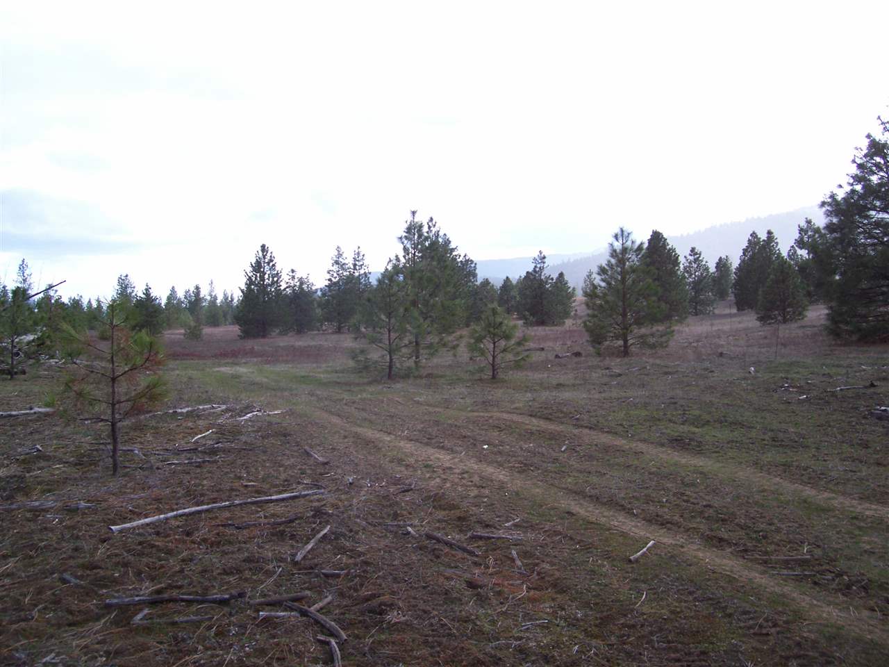 7 Maggie Flats Road Kettle Falls, WA 99141 - Photo 4 of 6 Gallery Image 4