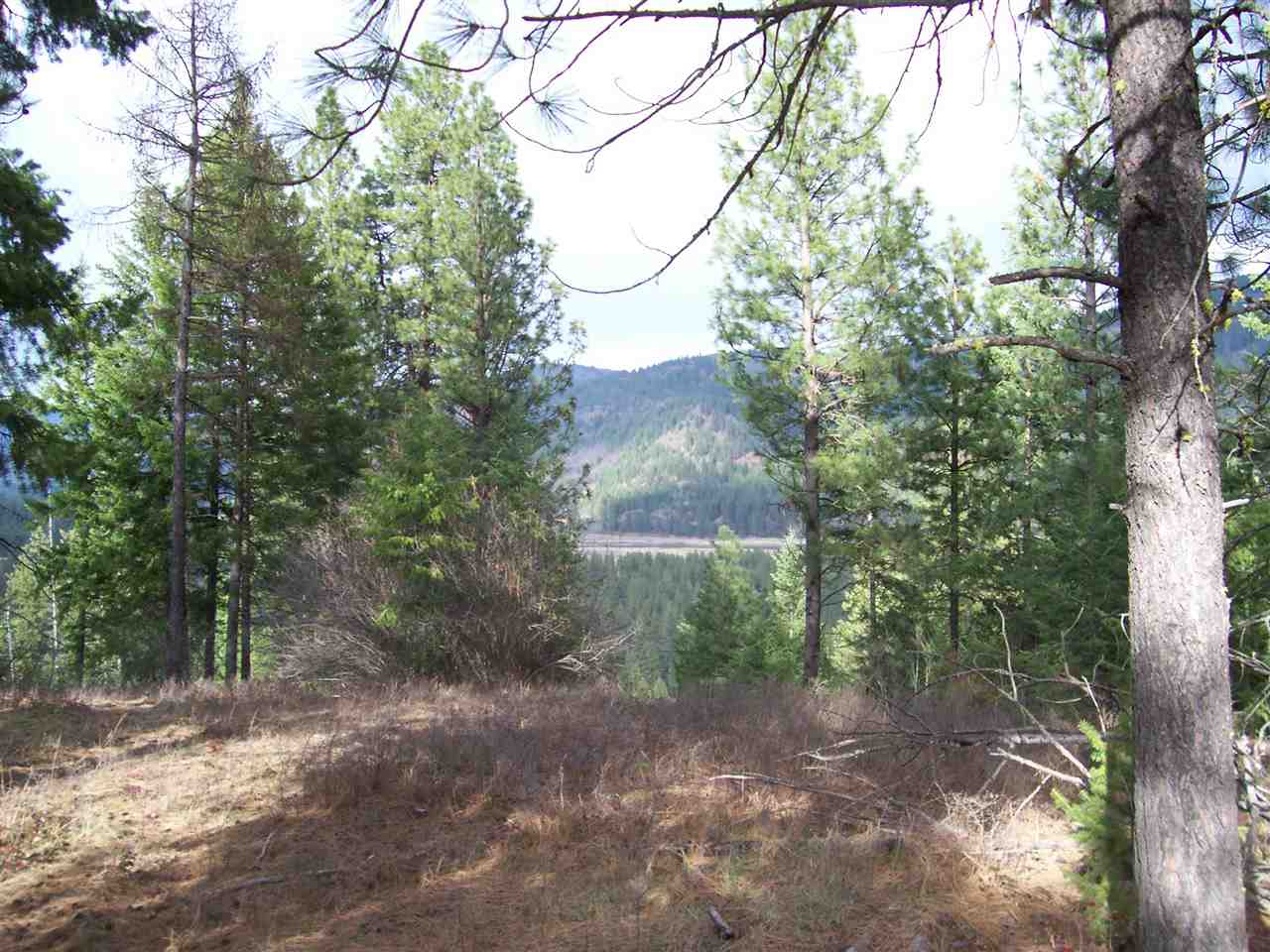 7 Maggie Flats Road Kettle Falls, WA 99141 - Photo 5 of 6 Gallery Image 5