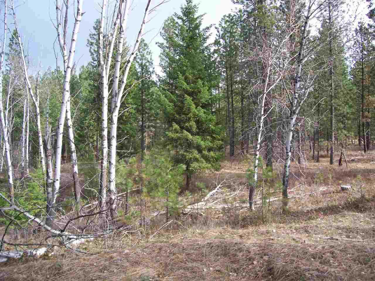 7 Maggie Flats Road Kettle Falls, WA 99141 - Photo 6 of 6 Gallery Image 6