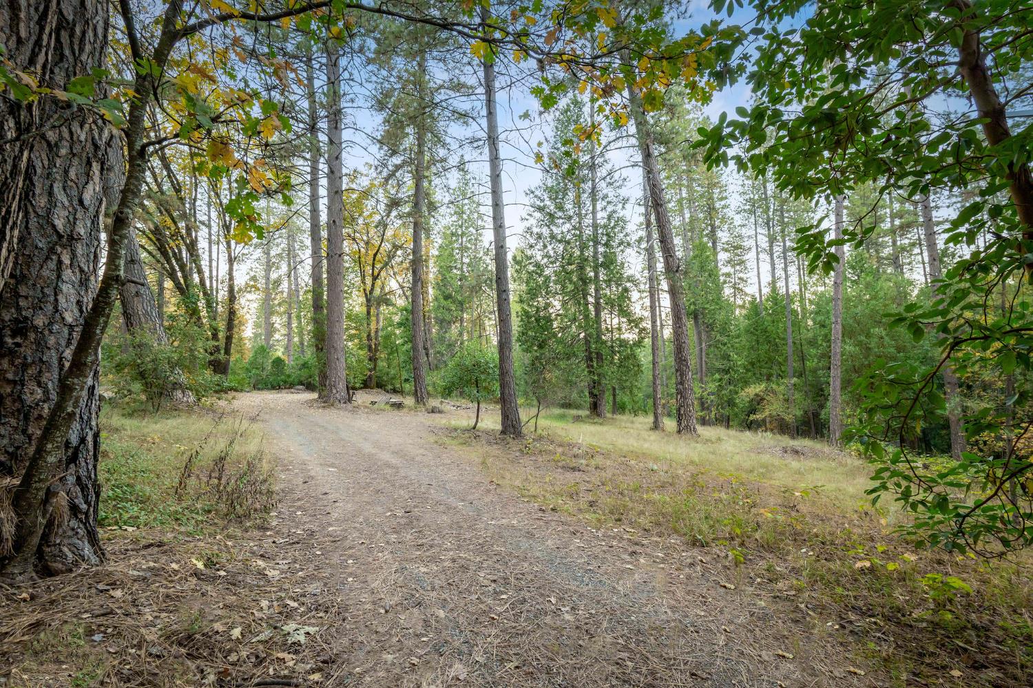 10376 Smith Road Grass Valley, CA 95949 - Photo 4 of 38