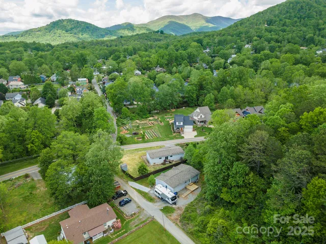 a view of a lush green hillside and houses