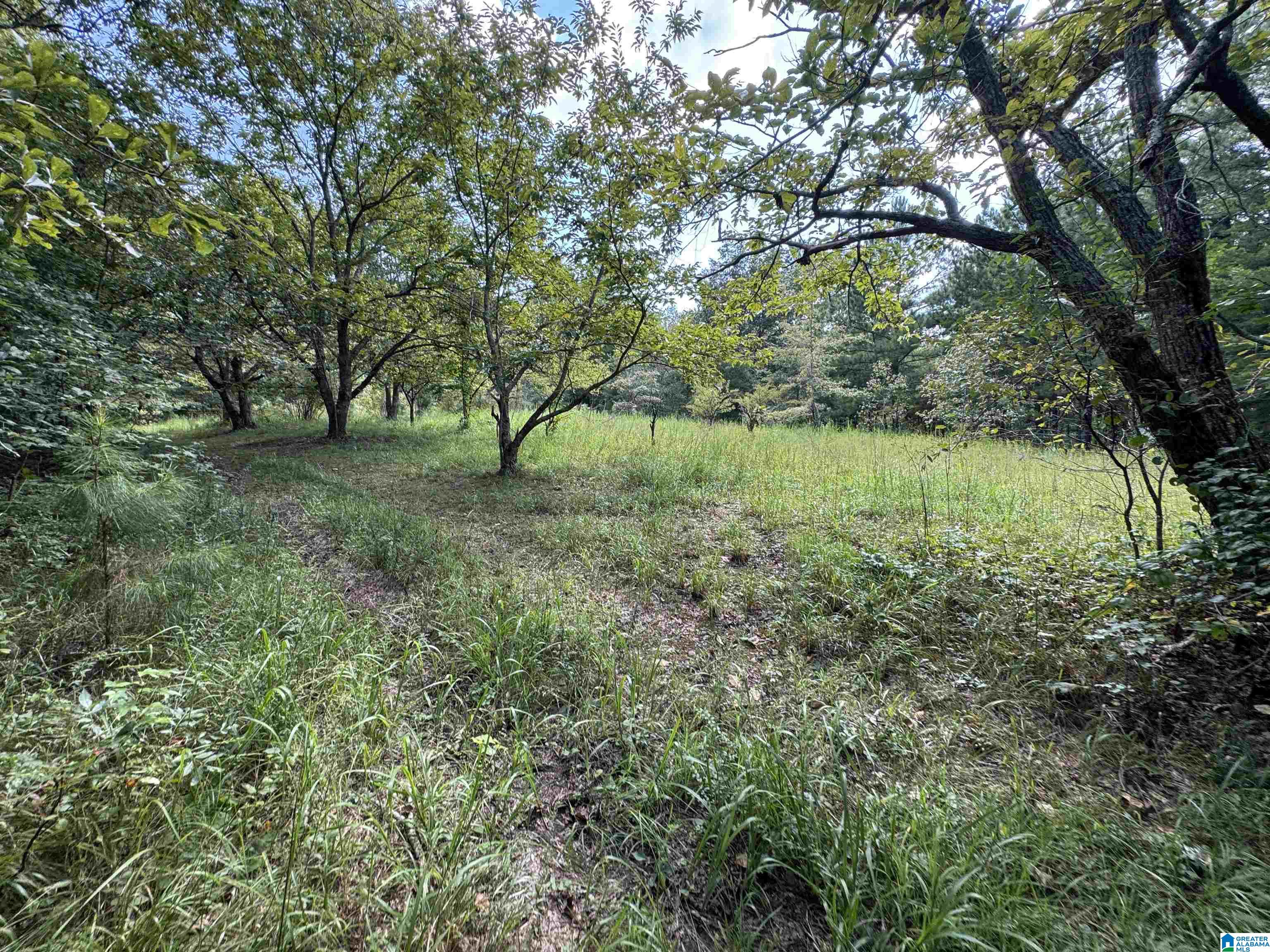 20394 County Road 55 Sterrett, AL 35147 - Photo 27 of 43