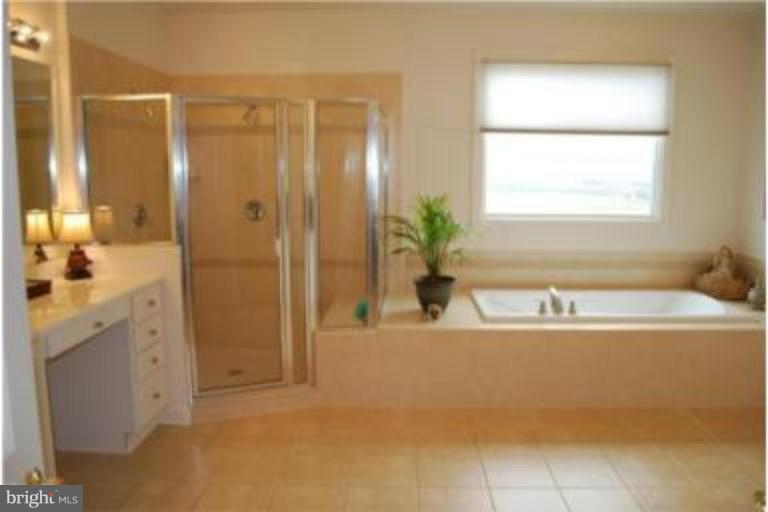 6110 Holter Road Jefferson, MD 21755 - Photo 10 of 13 Master Bath