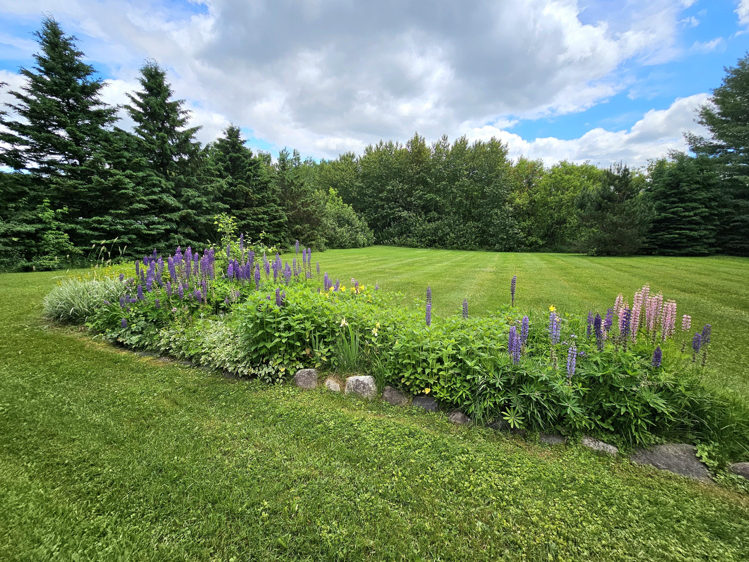 55 Hughes Road Mapleton, ME 04757 - Photo 16 of 55 20240613_111108