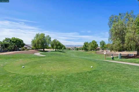 a view of a park with large trees