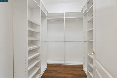 a view of a workspace room with furniture and a potted plant
