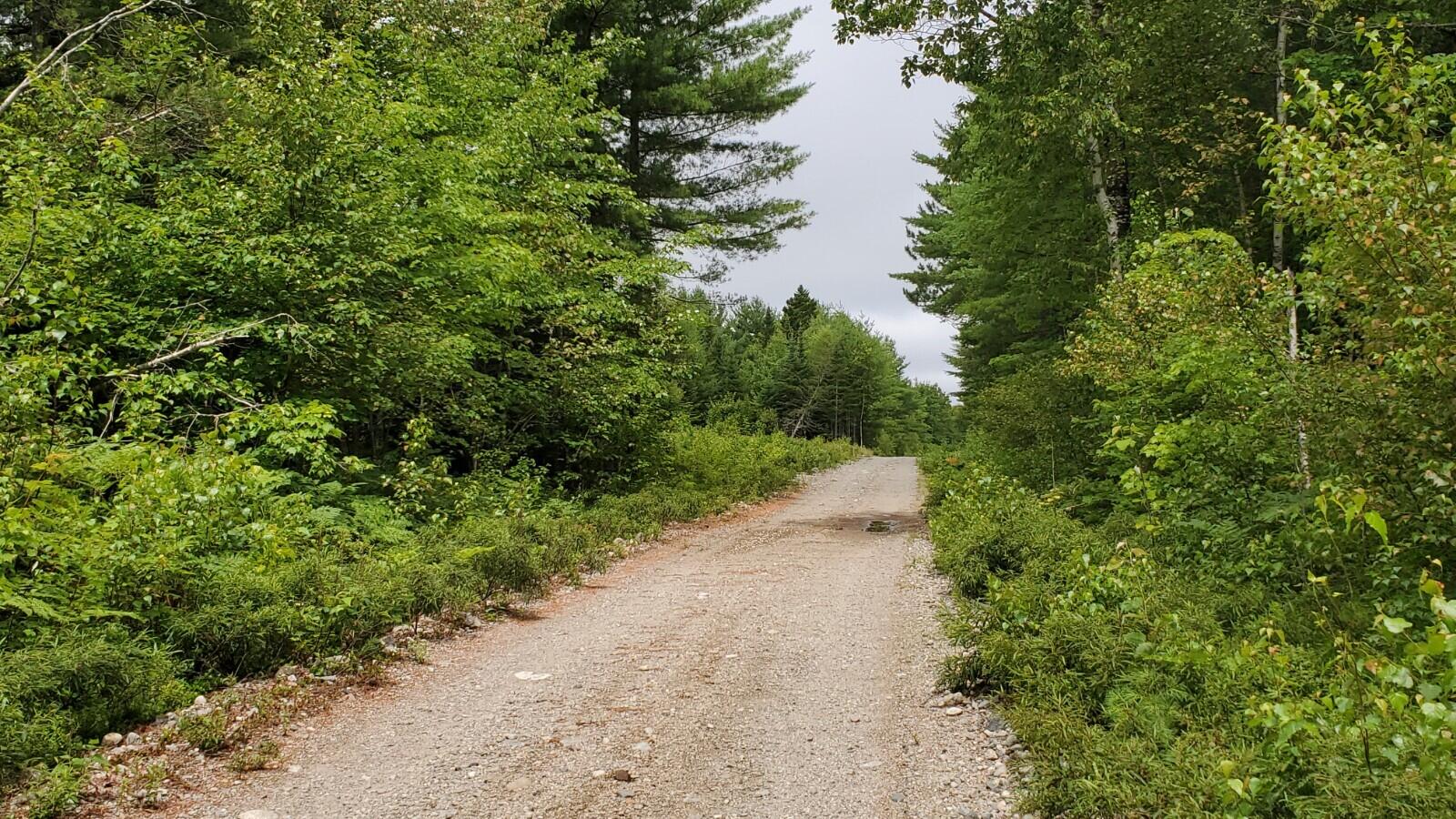 Lot 6 82-06-0 Road Wesley, ME 04686 - Photo 3 of 10 20210715_114205