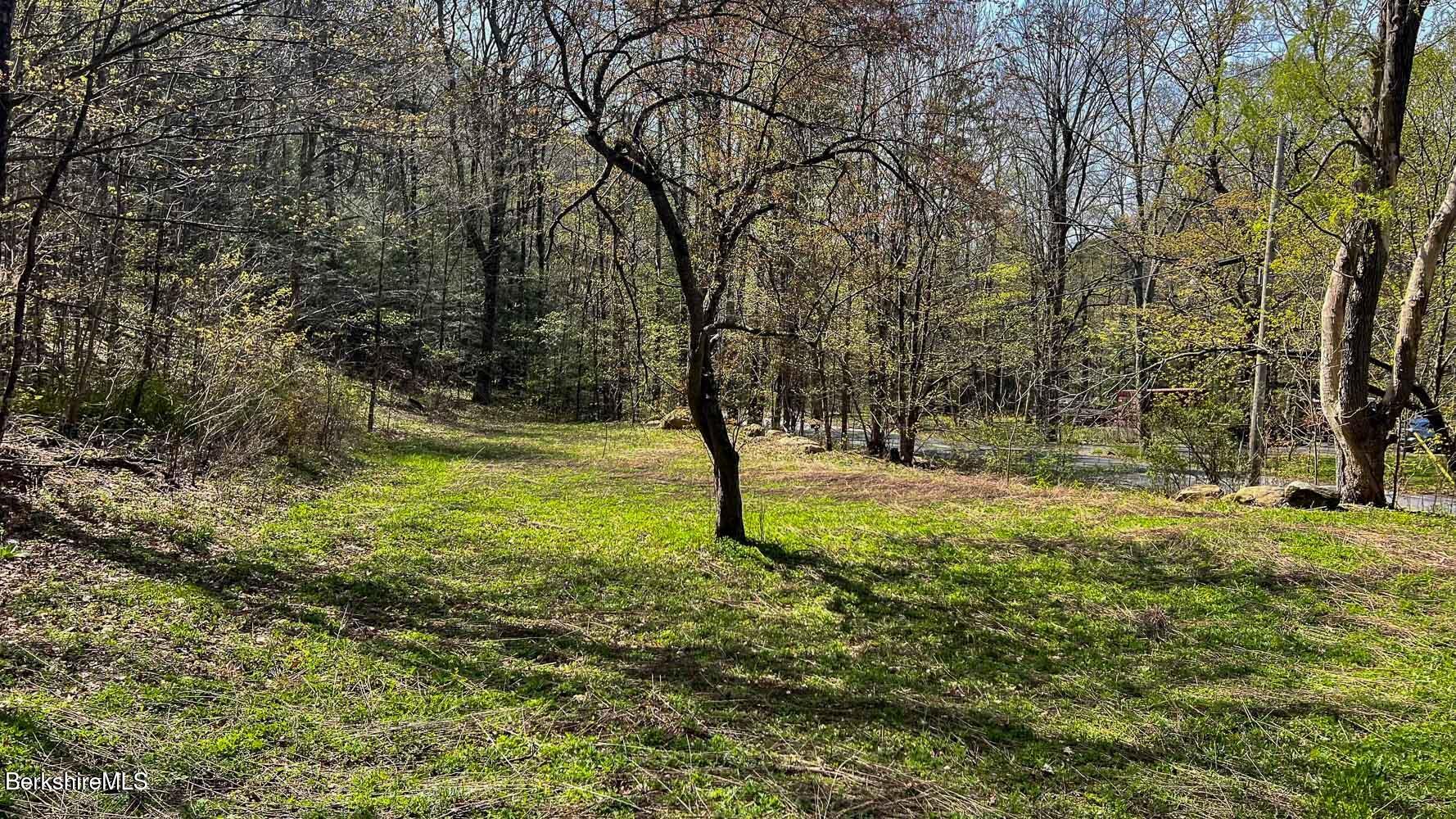 0 River Road Monterey, MA 01245 - Photo 10 of 14 0 River Rd-8