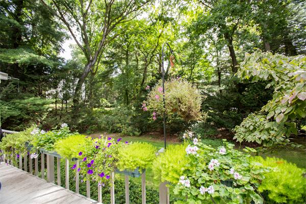 58 Bristol Road Wellesley, MA 02481 - Photo 12 of 16