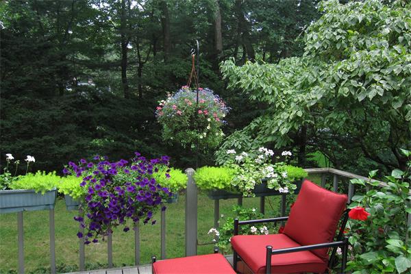58 Bristol Road Wellesley, MA 02481 - Photo 13 of 16