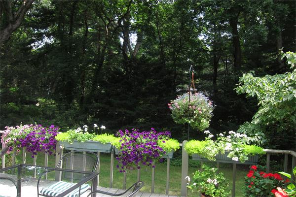58 Bristol Road Wellesley, MA 02481 - Photo 14 of 16