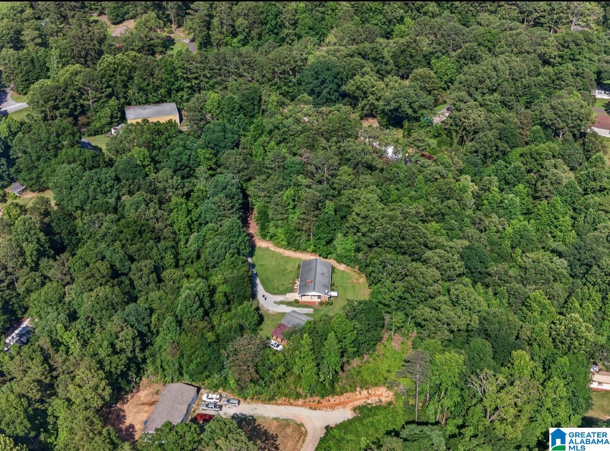 277 Tumblin Mill Road Heflin, AL 36264 - Photo 31 of 40