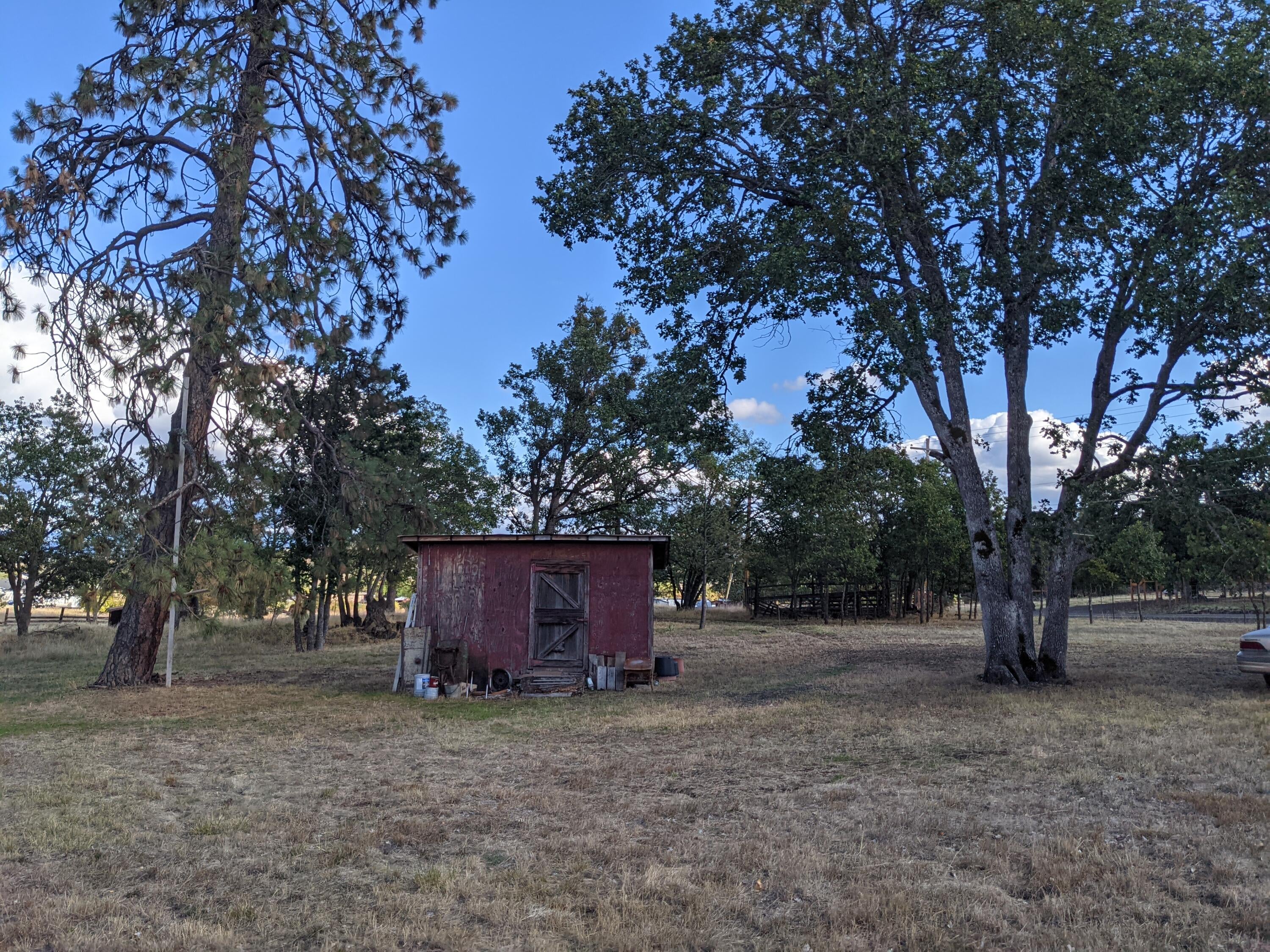1799 Stevens Road Eagle Point, OR 97524 - Photo 8 of 13 PXL_20210928_224443692