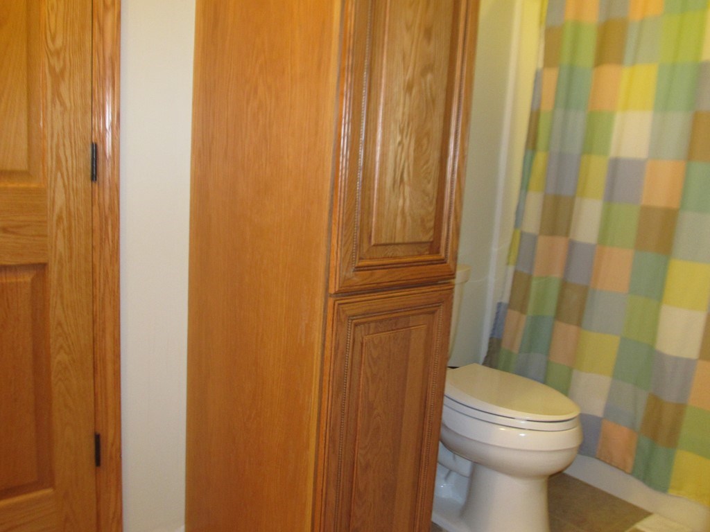 9156 South Fordyce Road Shepherd, MI 48883 - Photo 28 of 51 1826792-28.JPG