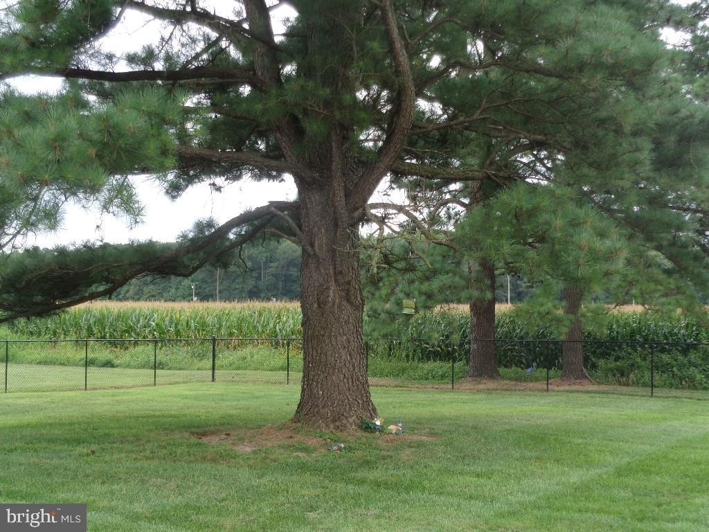 1290 Butler Road Harrington, DE 19952 - Photo 20 of 46 Gallery Image 20