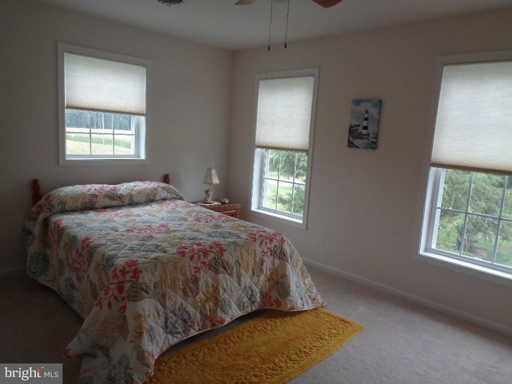 1290 Butler Road Harrington, DE 19952 - Photo 41 of 46 Gallery Image 41
