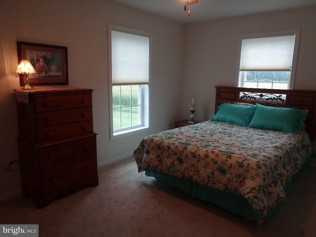 1290 Butler Road Harrington, DE 19952 - Photo 46 of 46 Gallery Image 46