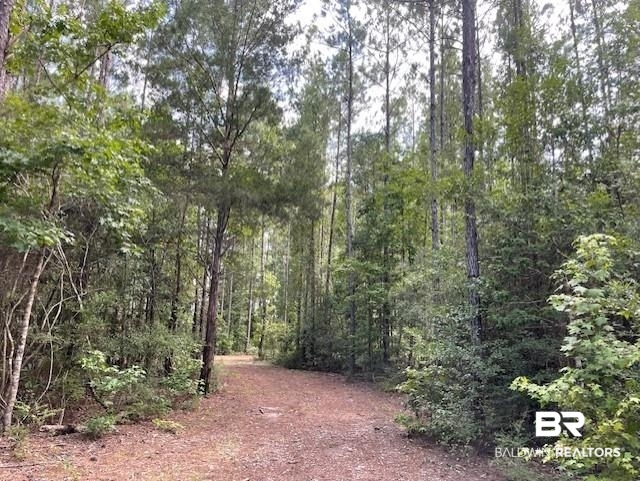 0 Highway 29 Andalusia, AL 36420 - Photo 4 of 9 View of woods
