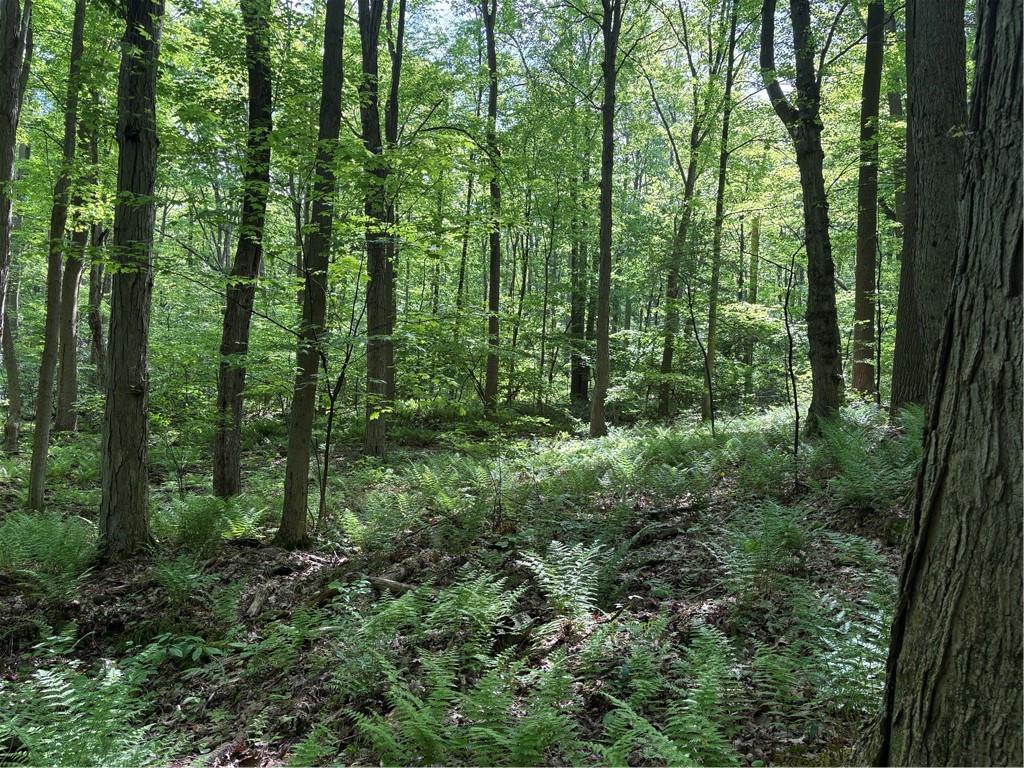 Lot 1 Cottonwood Road Acme, PA 15610 - Photo 7 of 25
