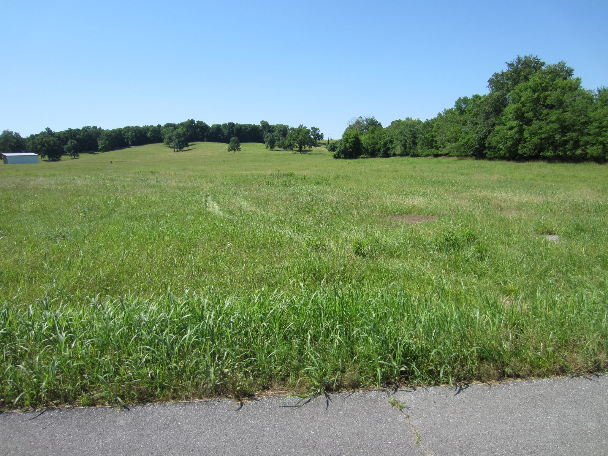0 Riadon Road Hartsville, TN 37074 - Photo 1 of 1