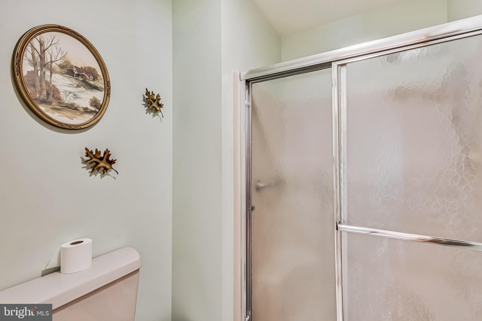 24659 Williston Road Denton, MD 21629 - Photo 14 of 31 Primary Bathroom