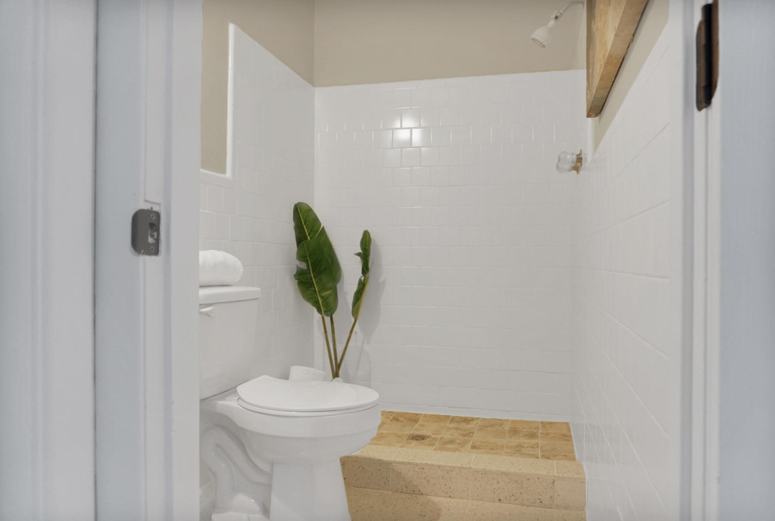 217 Wappoo Road Charleston, SC 29407 - Photo 36 of 43 L ELSNER PHOTOGRAPHY 42