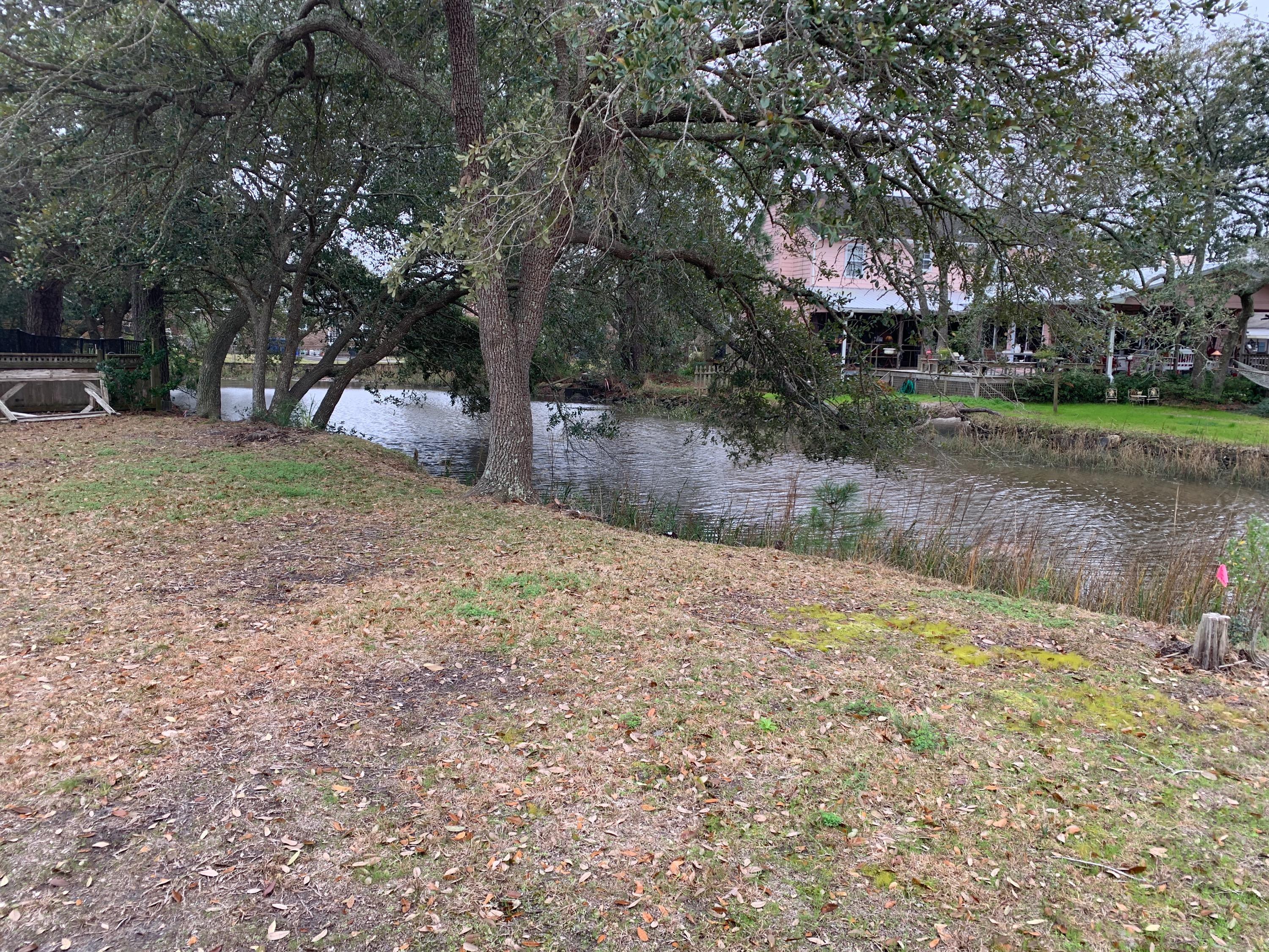 217 Wappoo Road Charleston, SC 29407 - Photo 5 of 43 Stono Creek Backyard 2