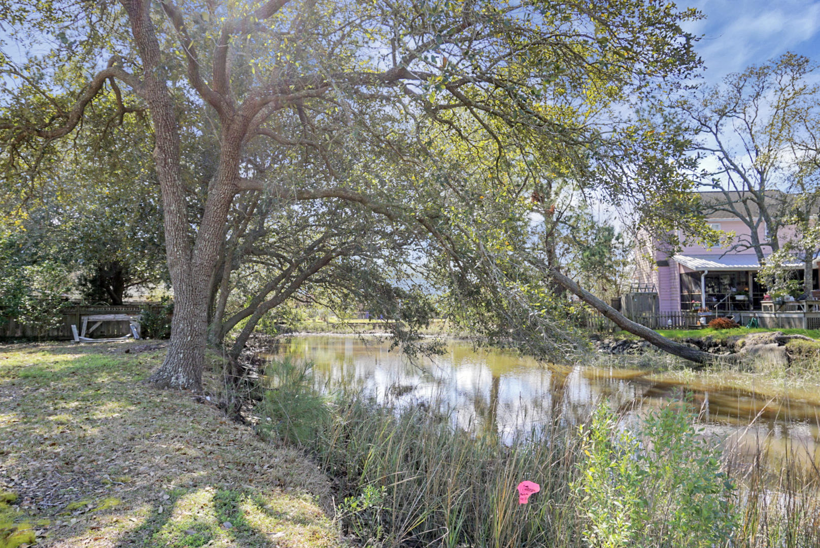 217 Wappoo Road Charleston, SC 29407 - Photo 6 of 43 Stono Creek Backyard