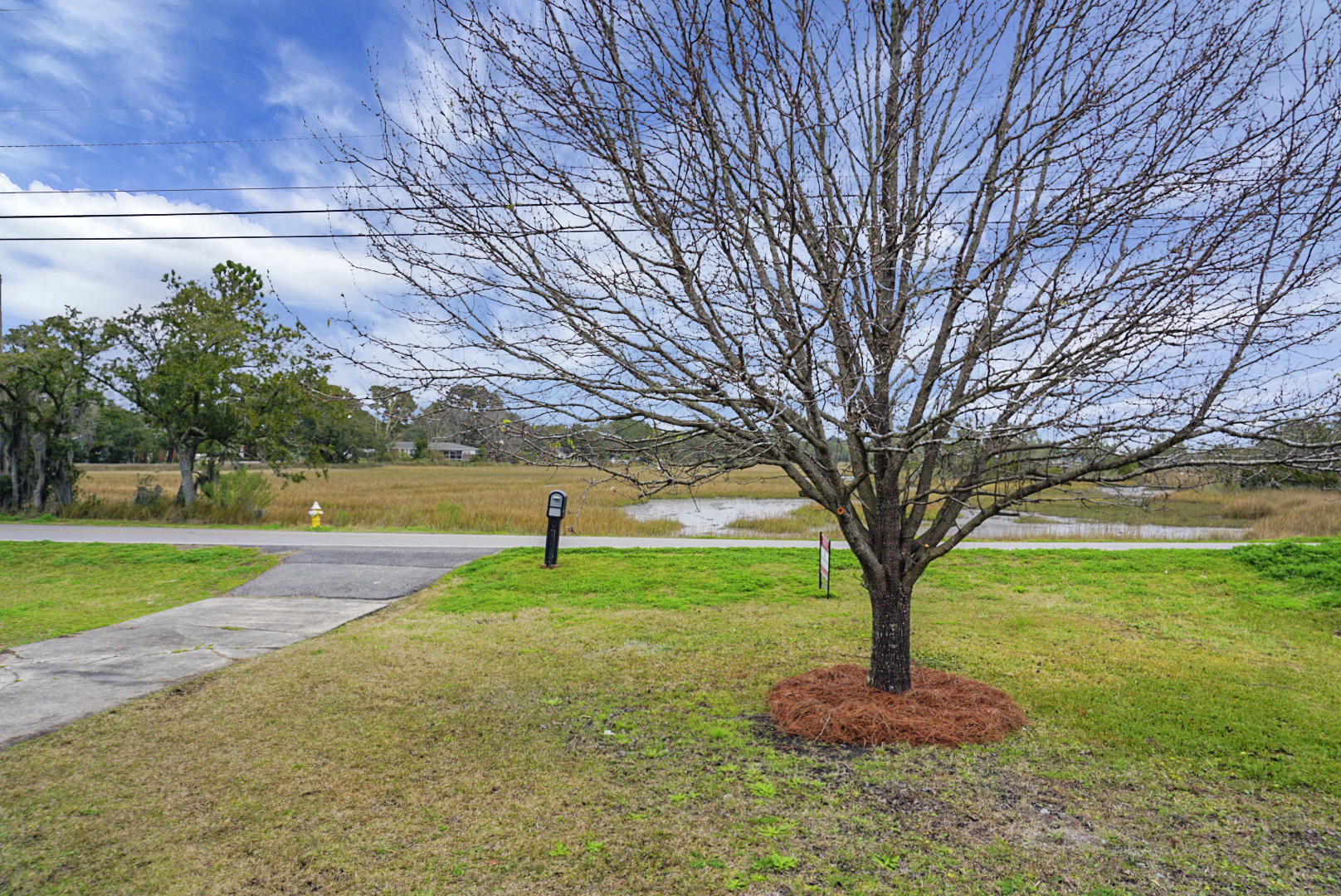 217 Wappoo Road Charleston, SC 29407 - Photo 10 of 43 Front Yard View