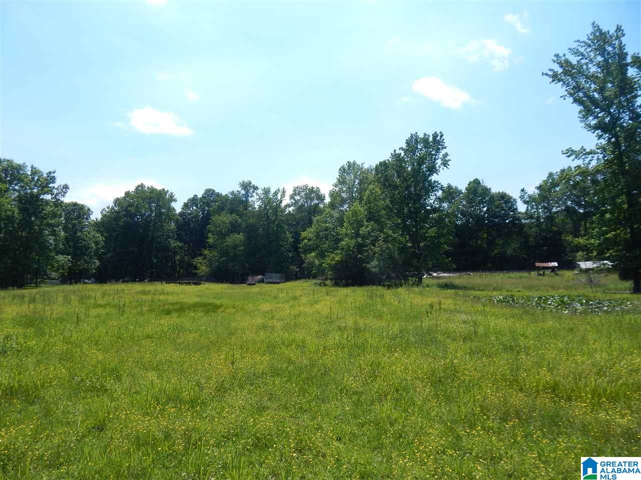 417 Old Stagecoach Road Woodstock, AL 35188 - Photo 14 of 17