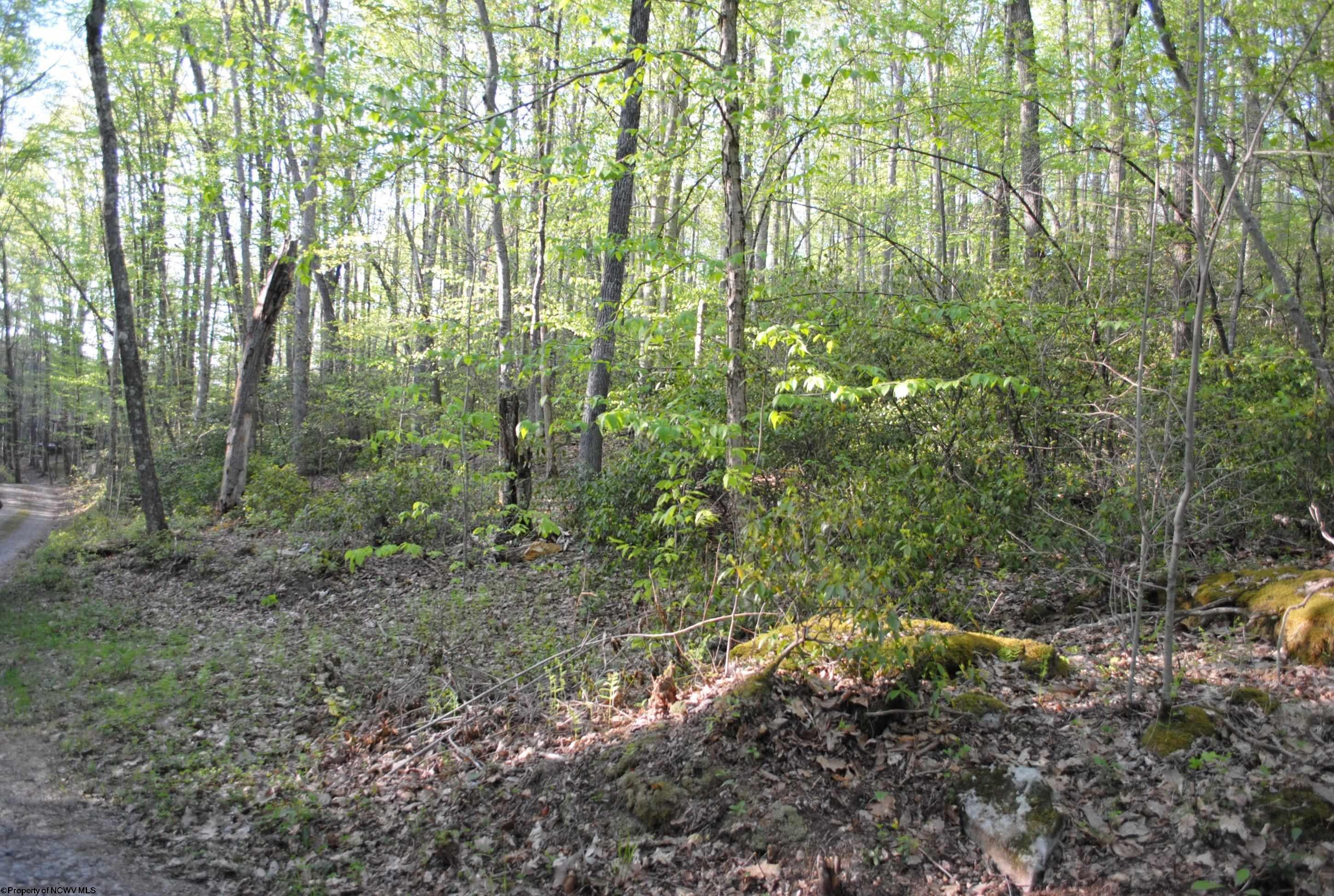 South Teter Creek Road Montrose, WV 26283 - Photo 3 of 7 Gallery Image 3