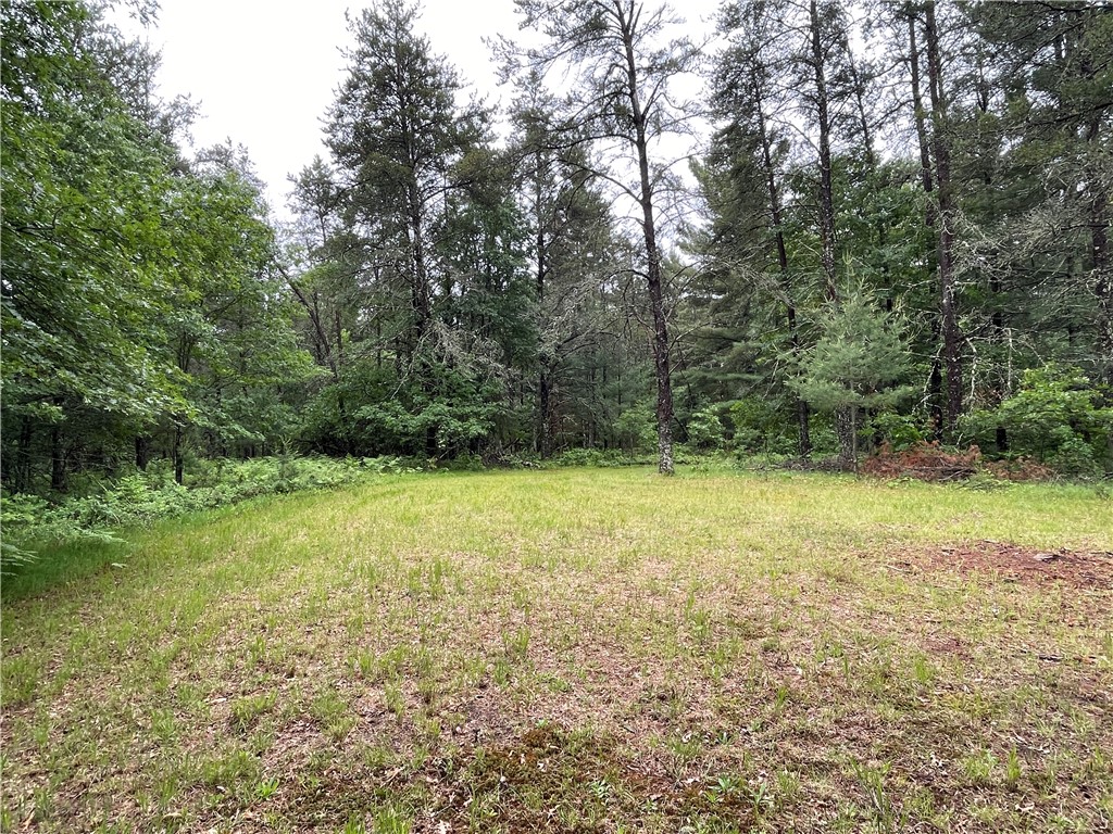 0 Loon Lake Road Spooner, WI 54801 - Photo 18 of 28