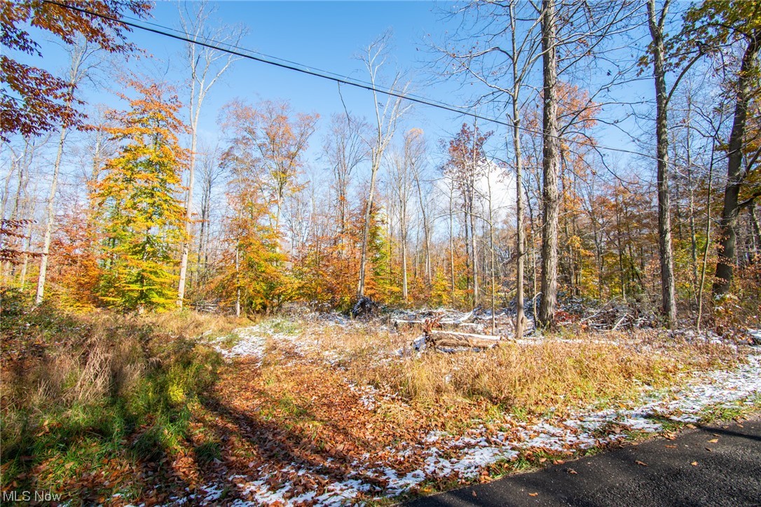 West Garfield Road Salem, OH 44460 - Photo 10 of 16 view of the front of the lot