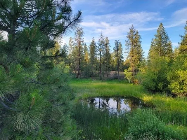 $599,900 | 8718 West Anderson Road, Cheney, WA 99004