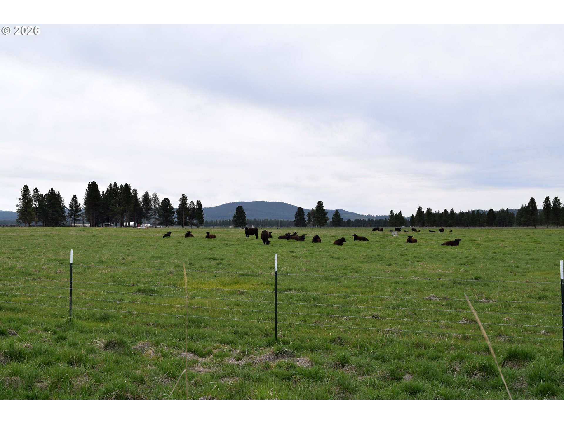 Skeen Ranch Road Chiloquin, OR 97624 - Photo 5 of 24 Gallery Image 5