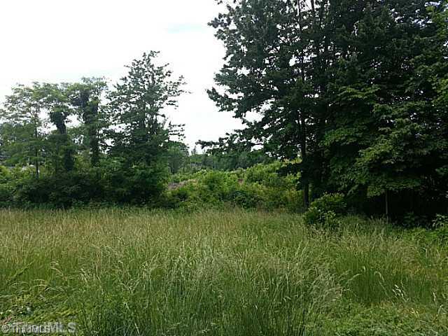 315 Pine Ridge Road Mount Airy, NC 27030 - Photo 10 of 10 Land.