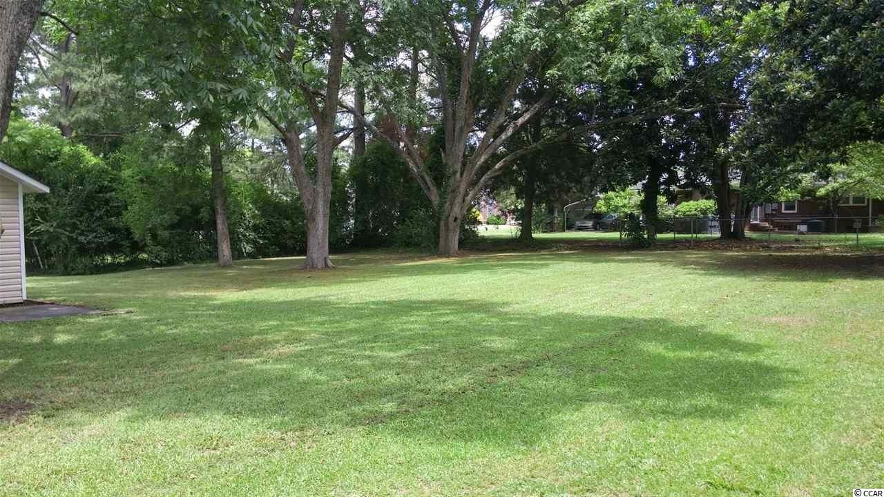 4020 Spring Street Loris, SC 29569 - Photo 3 of 16 Gallery Image 3