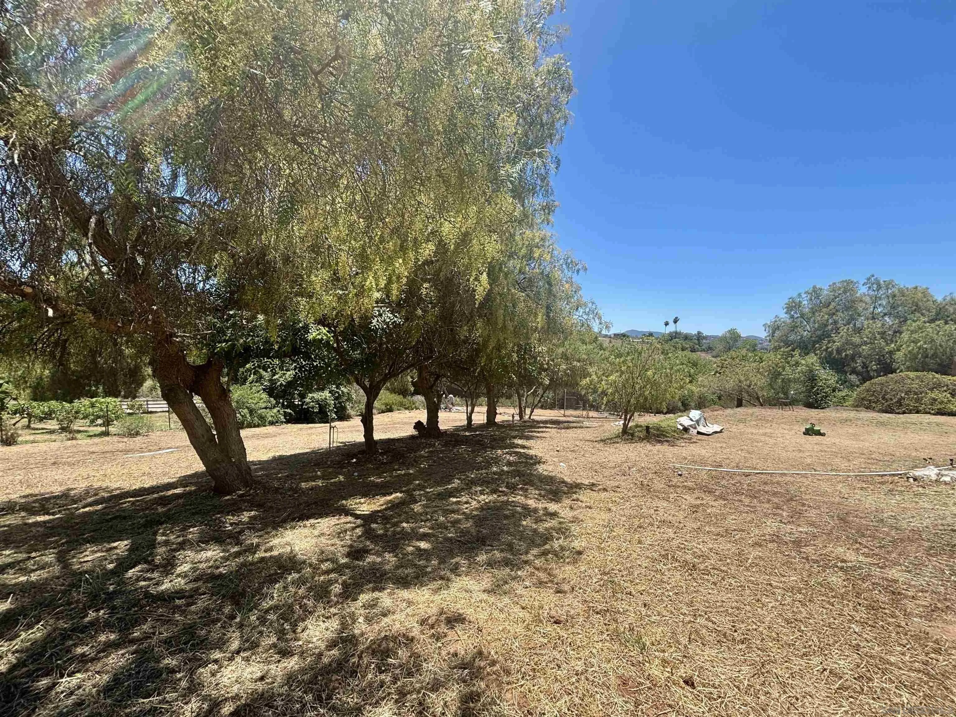 6960 West Lilac Road Bonsall, CA 92003 - Photo 26 of 37 a view of dirt yard with a tree