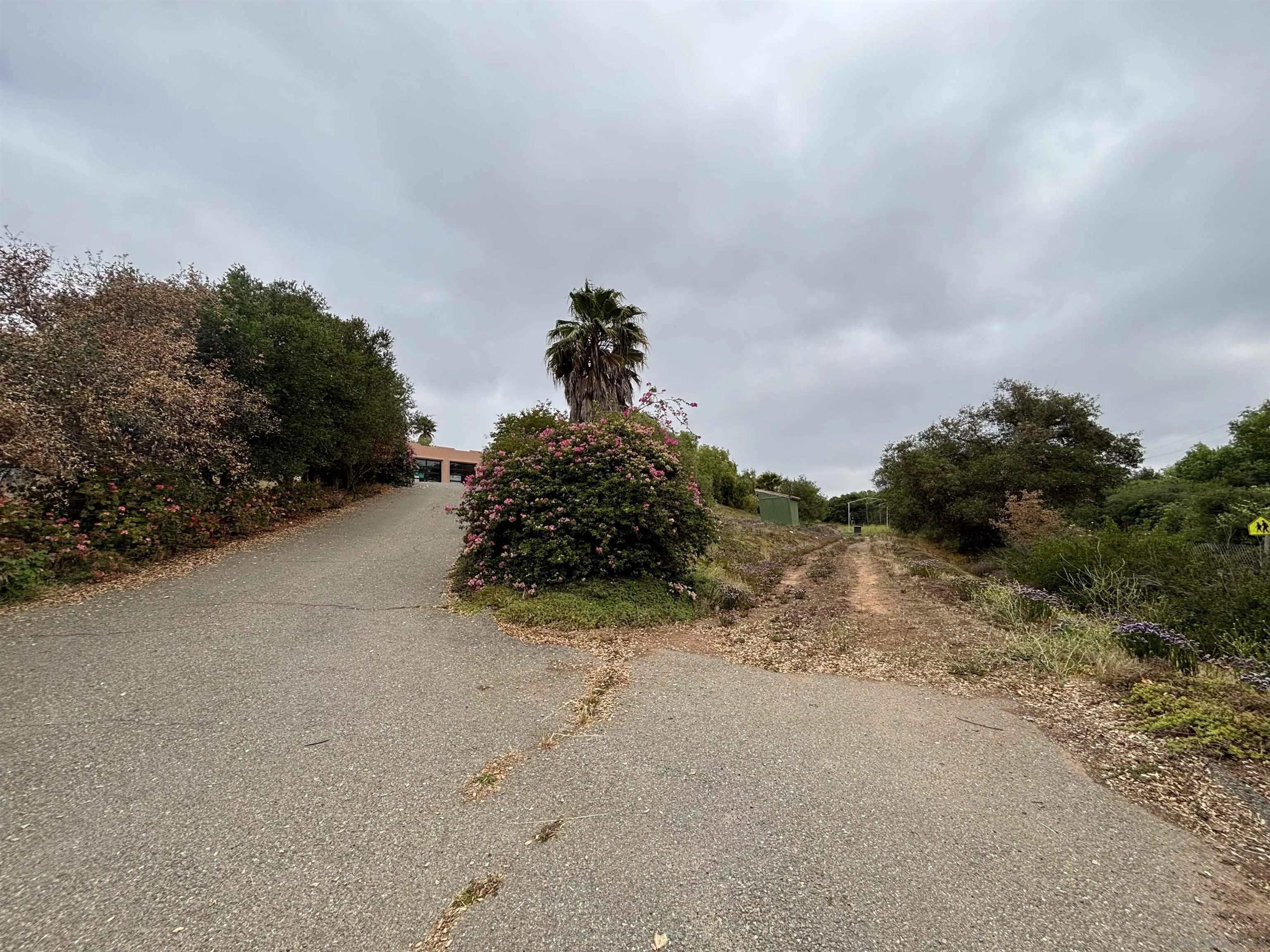 6960 West Lilac Road Bonsall, CA 92003 - Photo 33 of 37 a view of a dry yard