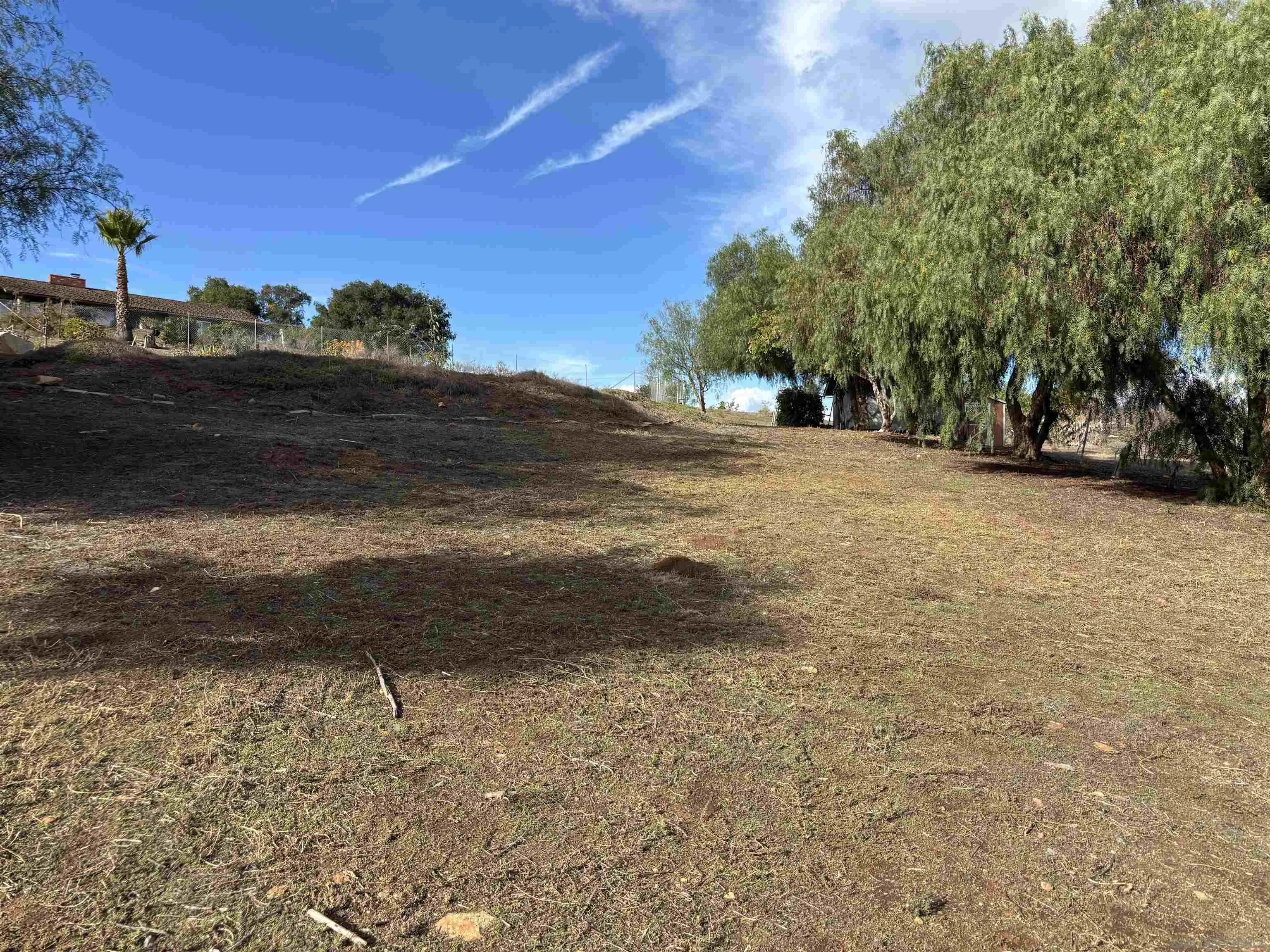 6960 West Lilac Road Bonsall, CA 92003 - Photo 34 of 37 a view of dirt yard with a large tree