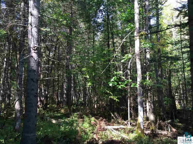 Xx Kaukamo Road Iron River, WI 54847 - Photo 11 of 15