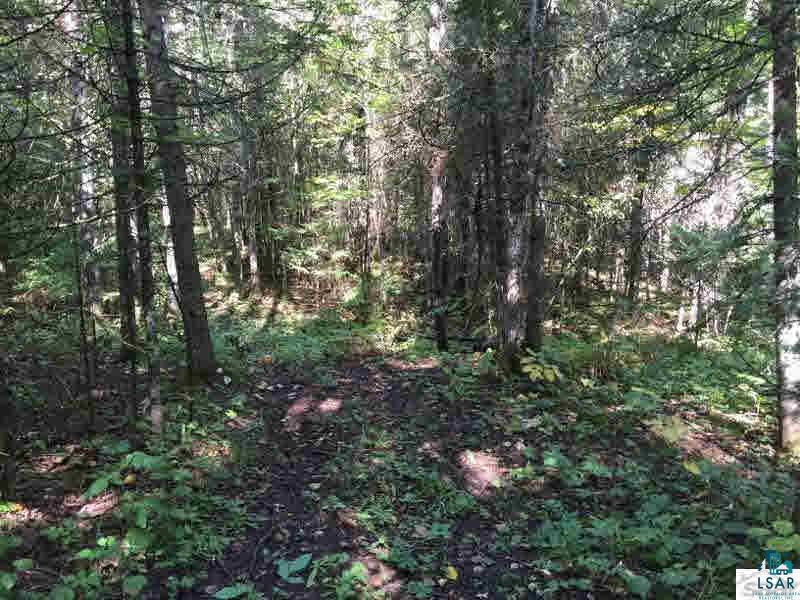 Xx Kaukamo Road Iron River, WI 54847 - Photo 15 of 15