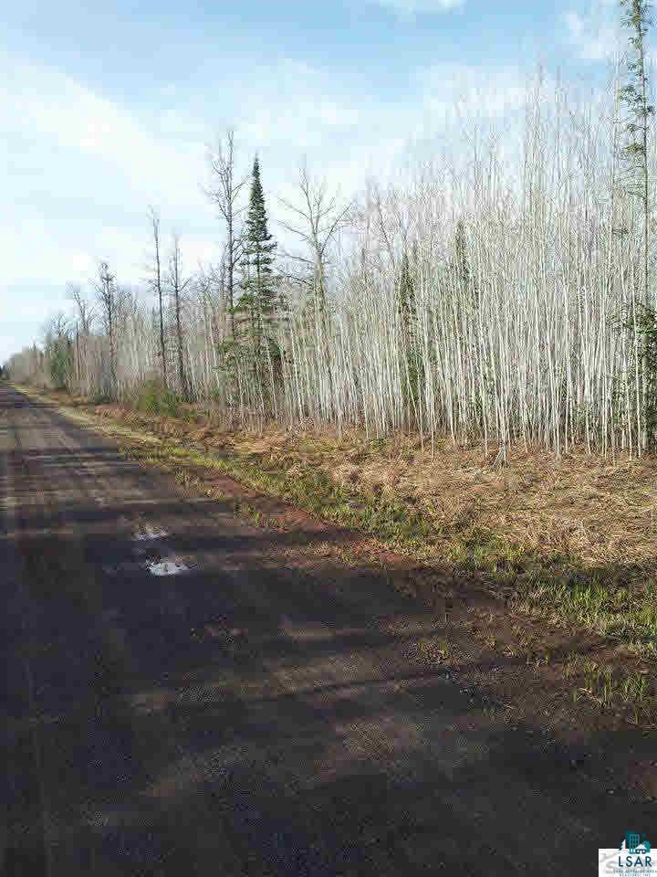 Xx Kaukamo Road Iron River, WI 54847 - Photo 3 of 15