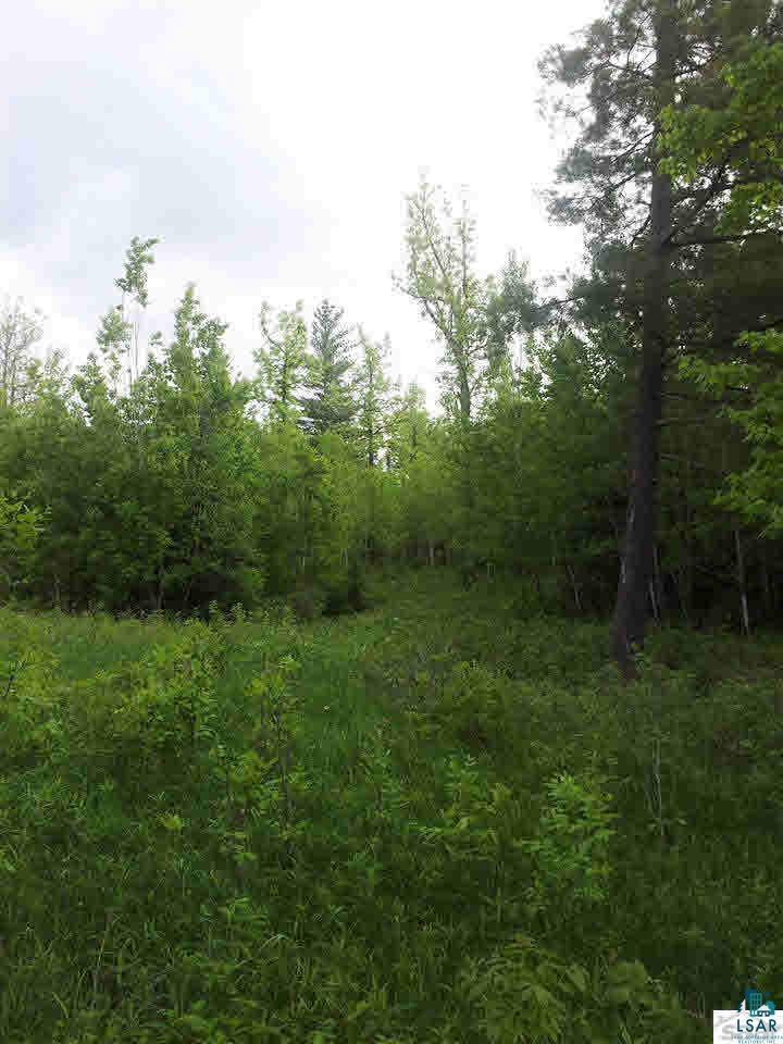 Xx Kaukamo Road Iron River, WI 54847 - Photo 7 of 15