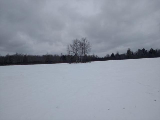 On On Cth C Prentice, WI 54556 - Photo 2 of 20 Gallery Image 2
