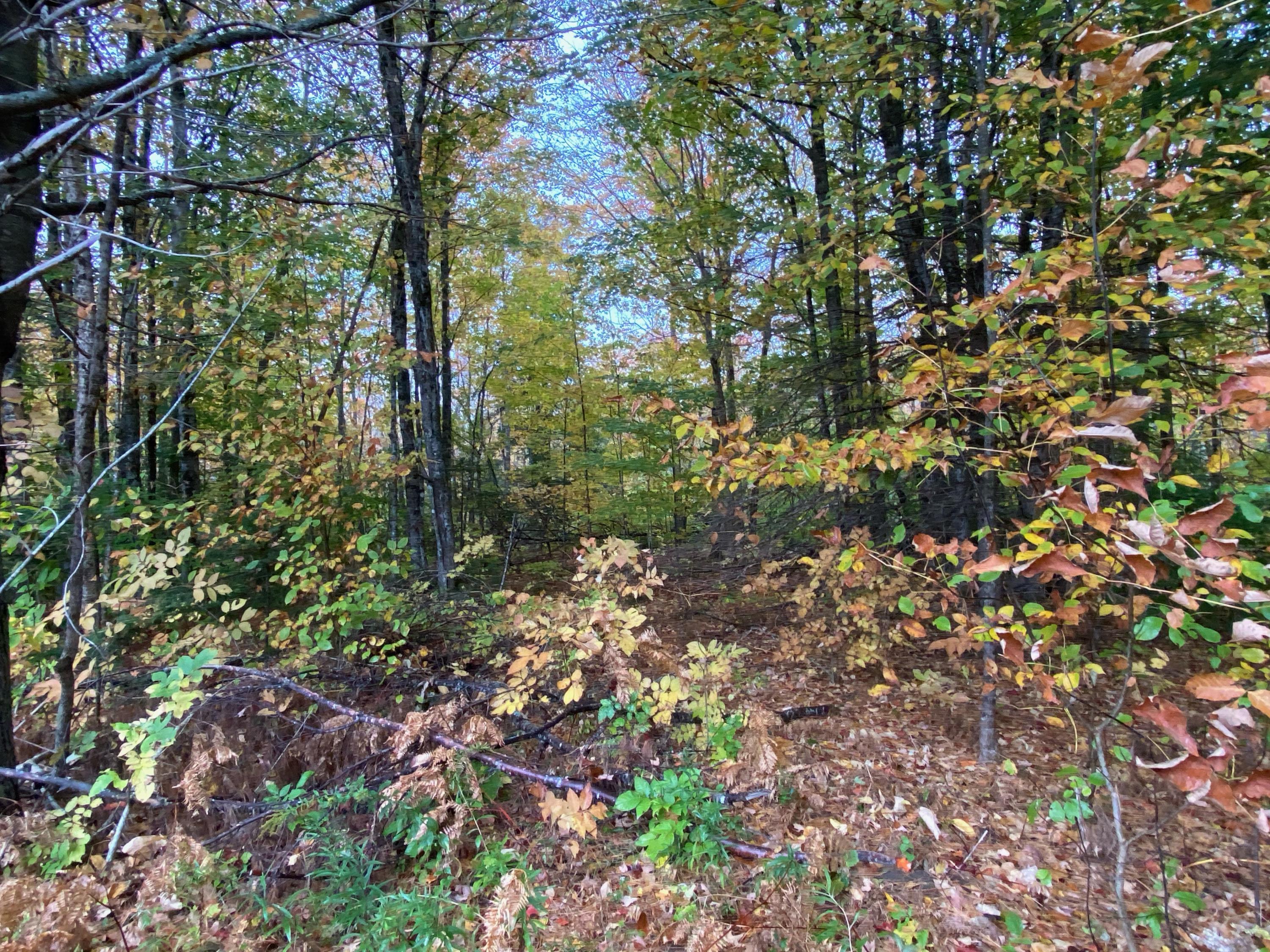 Lot 58-00 Stiles Road Harmony, ME 04942 - Photo 2 of 3 6.67 Acres