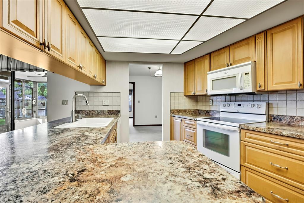 3296 Dolin Avenue Spring Hill, FL 34606 - Photo 16 of 54